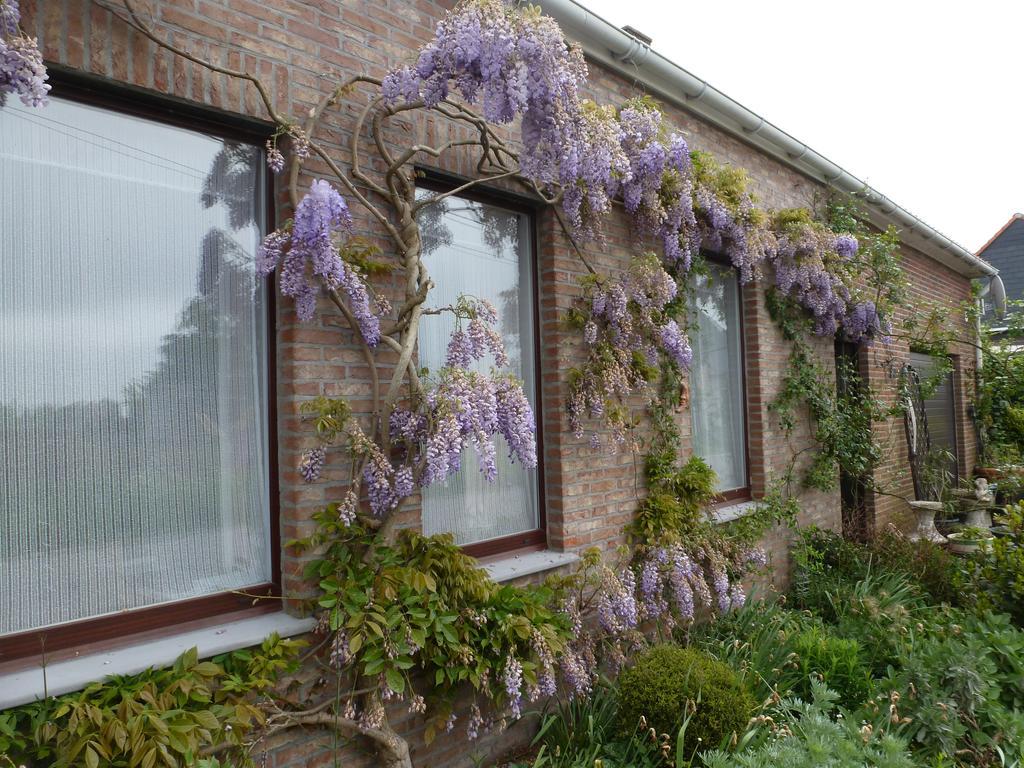 Guesthouse Kolibriehuys Nieuwkerke Екстериор снимка