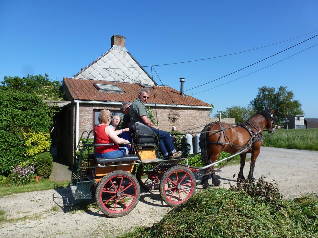 Guesthouse Kolibriehuys Nieuwkerke Екстериор снимка