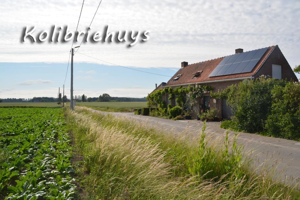 Guesthouse Kolibriehuys Nieuwkerke Екстериор снимка